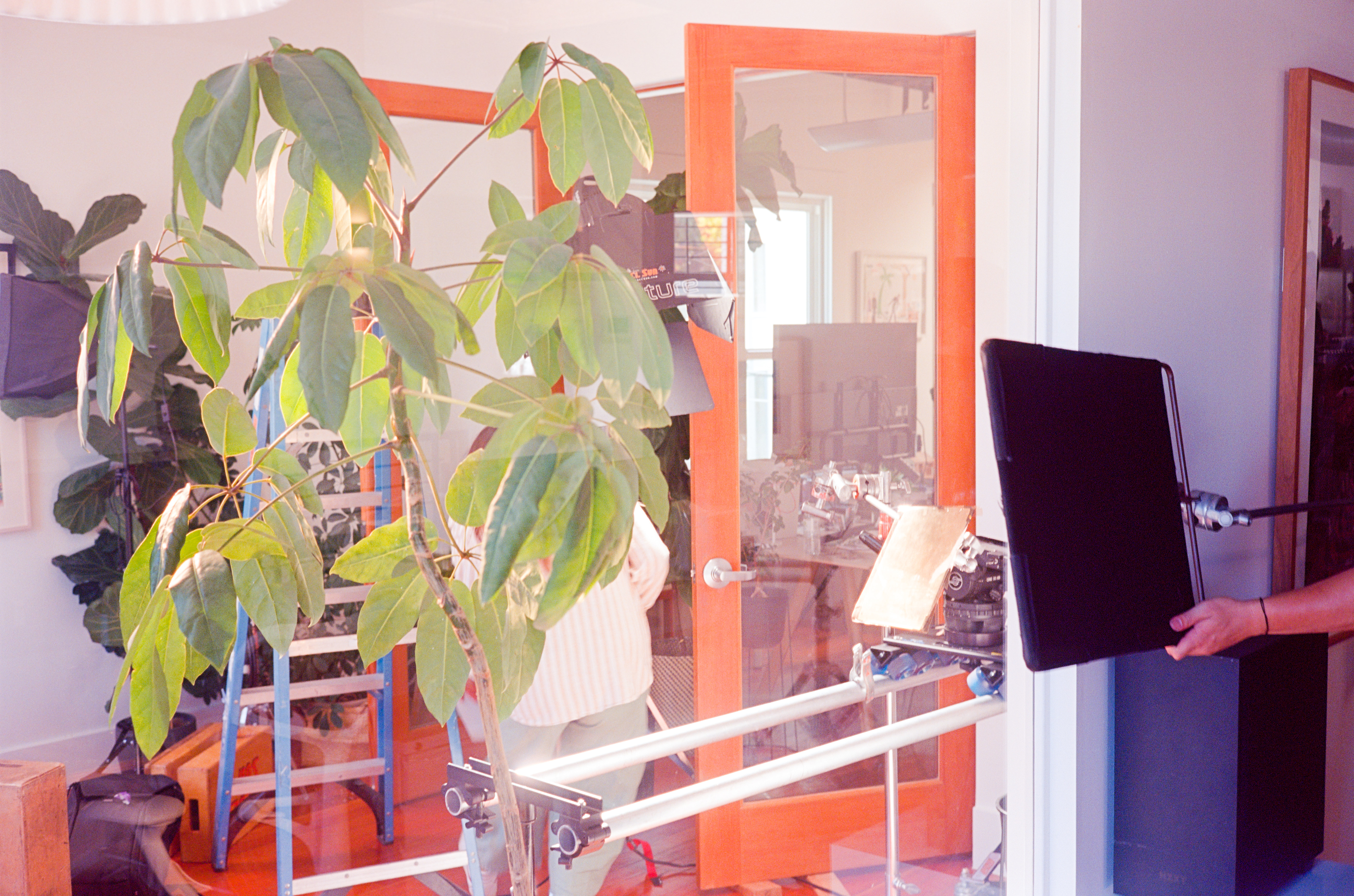 Header image